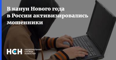 В канун Нового года в России активизировались мошенники - nsn.fm - Россия