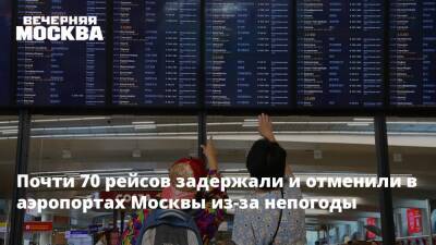 Роман Гусаров - В столичных аэропортах отменили и задержали 69 рейсов из-за непогоды - vm.ru - Москва - Москва