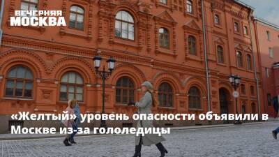 «Желтый» уровень опасности объявили в Москве из-за гололедицы - vm.ru - Москва - Россия - Москва