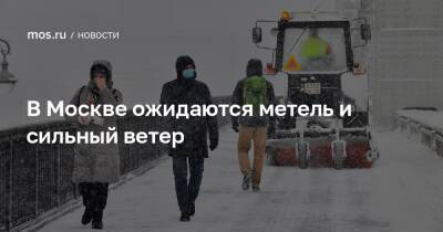 В Москве ожидаются метель и сильный ветер - mos.ru - Москва