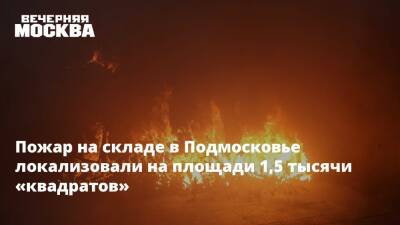 Пожар на складе в Подмосковье локализовали на площади 1,5 тысячи «квадратов» - vm.ru - Московская обл.