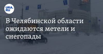 В Челябинской области ожидаются метели и снегопады - ura.news - Челябинская обл.