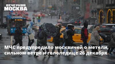 МЧС предупредило москвичей о метели, сильном ветре и гололедице 26 декабря - vm.ru - Москва - Россия - Москва