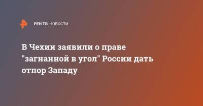 В Чехии заявили о праве "загнанной в угол" России дать отпор Западу - ren.tv - Россия - США - Украина - Польша - Чехия