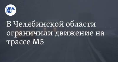 В Челябинской области ограничили движение на трассе М5 - ura.news - Москва - Башкирия - Челябинская обл. - Уфа - Челябинск