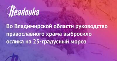 Во Владимирской области руководство православного храма выбросило ослика на 25-градусный мороз - readovka.news - Владимирская обл.