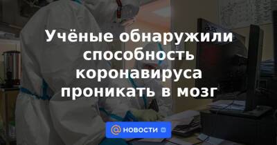 Учёные обнаружили способность коронавируса проникать в мозг - news.mail.ru - шт. Мэриленд