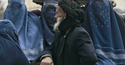 Афганистан - Талибы запретили женщинам самостоятельно путешествовать на дальние расстояния - dsnews.ua - Украина - Франция - Афганистан - Талибан
