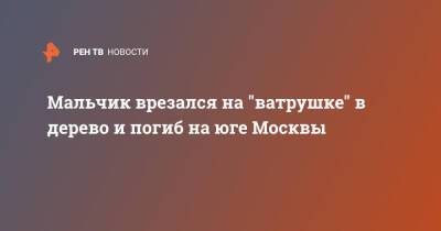 Мальчик врезался на "ватрушке" в дерево и погиб на юге Москвы - ren.tv - Москва