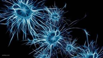 Способность коронавируса проникать в мозг обнаружили ученые - lenta.ua - США - Украина