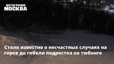 Стало известно о несчастных случаях на горке до гибели подростка на тюбинге - vm.ru - Москва - Москва