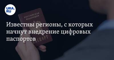 Дмитрий Чернышенко - Известны регионы, с которых начнут внедрение цифровых паспортов - ura.news - Москва - Россия - Московская обл. - респ. Татарстан