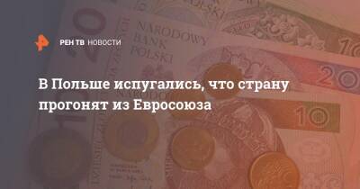 В Польше испугались, что страну прогонят из Евросоюза - ren.tv - Польша - Варшава