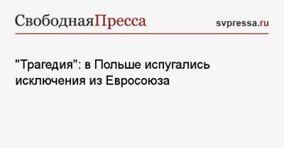 «Трагедия»: в Польше испугались исключения из Евросоюза - svpressa.ru - Россия - Англия - Польша - Чехия - Варшава