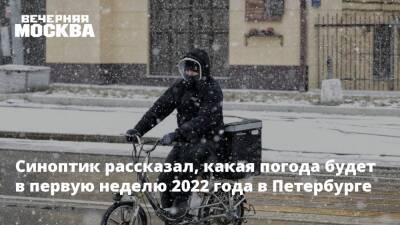 Михаил Леус - Синоптик рассказал, какая погода будет в первую неделю 2022 года в Петербурге - vm.ru - Санкт-Петербург - Санкт-Петербург