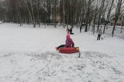 Новгородцев попросили не кататься на «ватрушках» рядом с дорогами - mk.ru