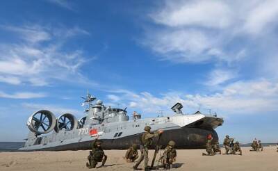 Для решения задач на Украине России не нужно высаживать морскую пехоту на пляжи Бердянска и Мариуполя и идти в атаку на Киев - topwar.ru - Россия - Украина - Киев - Мариуполь - Бердянск