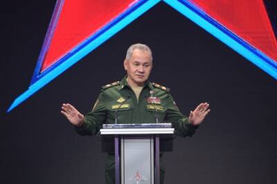 Сергей Шойгу - Александр Чуприян - Шойгу поздравил спасателей с профессиональным праздником - aif.ru - Москва - Россия