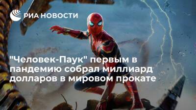 Новый "Человек-Паук" первым в пандемию собрал миллиард долларов в мировом кинопрокате - ria.ru - Вашингтон