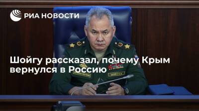 Сергей Шойгу - Владимир Путин - Министр обороны Шойгу заявил, что Россия в 2014 году спасла Крым от украинских неофашистов - ria.ru - Москва - Россия - США - Киев - Крым - Севастополь - Севастополь