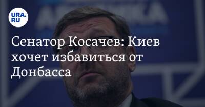 Константин Косачев - Сенатор Косачев: Киев хочет избавиться от Донбасса - ura.news - Россия - Украина - Киев