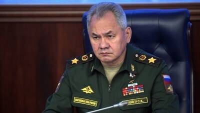 Сергей Шойгу - Шойгу предрек печальный сценарий для Крыма без России: «Не потушили бы всем миром» - 5-tv.ru - Россия - США - Киев - Крым - Крым