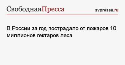 Михаил Мишустин - В России за год пострадало от пожаров 10 миллионов гектаров леса - svpressa.ru - Россия - Иркутская обл. - респ. Татарстан - респ. Коми - Улан-Удэ - Приморье край - респ. Саха - Югра - Чукотка - респ. Удмуртия