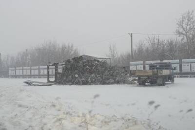 В Пензенской области ураганный ветер снес главную елку райцентра - mk.ru - Пензенская обл. - Пенза