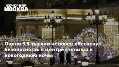 Около 3,5 тысячи человек обеспечат безопасность в центре столицы в новогоднюю ночь - vm.ru - Москва - Москва