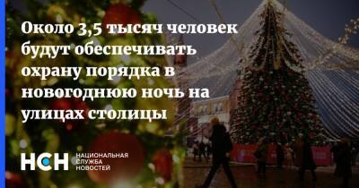 Около 3,5 тысяч человек будут обеспечивать охрану порядка в новогоднюю ночь на улицах столицы - nsn.fm - Москва - Москва