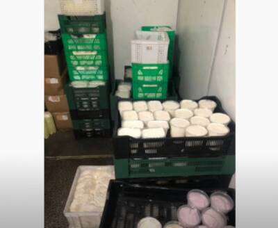 В гараже Сертолово обнаружили более 500 кг поддельной молочной продукции - abnews.ru - Россия - Ленинградская обл. - Санкт-Петербург