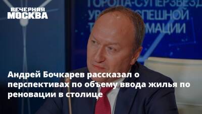 Андрей Бочкарев - Андрей Бочкарев рассказал о перспективах по объему ввода жилья по реновации в столице - vm.ru - Москва - Москва
