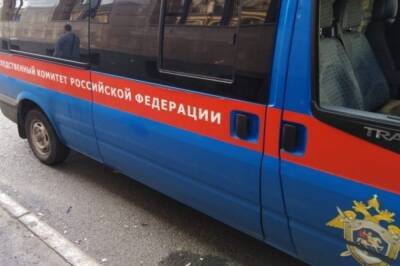 В Чувашии арестовали мужчину, обвиняемого в жестоком убийстве жены - aif.ru - Россия - респ. Чувашия - Скончался