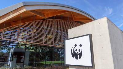 WWF России рассказал об экологических итогах года - russian.rt.com - Россия - Экология