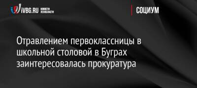 Отравлением первоклассницы в школьной столовой в Буграх заинтересовалась прокуратура - ivbg.ru - Украина - Ленинградская обл. - р-н Всеволожский - Ленобласть