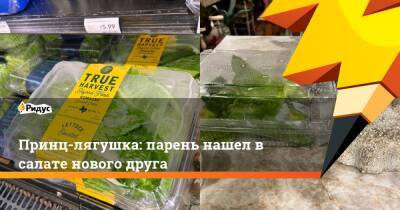 Принц-лягушка: парень нашел в салате нового друга - ridus.ru - США - Twitter
