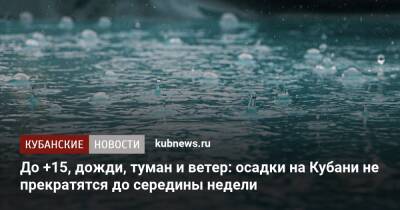 До +15, дожди, туман и ветер: осадки на Кубани не прекратятся до середины недели - kubnews.ru - Краснодарский край
