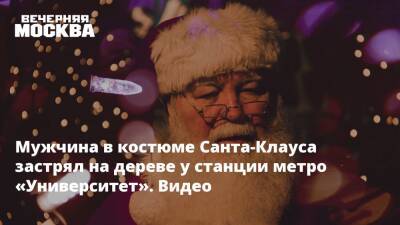 Мужчина в костюме Санта-Клауса застрял на дереве у станции метро «Университет». Видео - vm.ru - Москва - США - Нью-Йорк - Москва