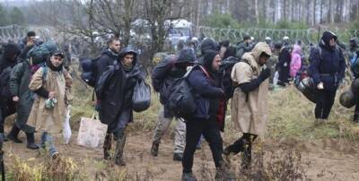 Около 40 беженцев пытались прорваться из Беларуси в Польшу, бросая камни в патрульных - unn.com.ua - Украина - Киев - Белоруссия - Польша