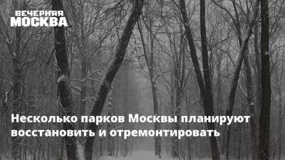 Несколько парков Москвы планируют восстановить и отремонтировать - vm.ru - Москва - Москва - Благоустройство
