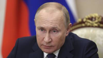 Владимир Путин - Эмомали Рахмон - Путин: в России проживают и работают около миллиона граждан Таджикистана - russian.rt.com - Россия - Санкт-Петербург - Таджикистан