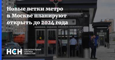 Андрей Бочкарев - Новые ветки метро в Москве планируют открыть до 2024 года - nsn.fm - Москва - Москва