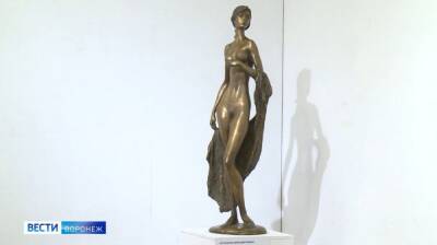 В воронежском музее имени Крамского открылась выставка «Пластика и цвет» - vestivrn.ru - Воронеж