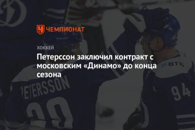 Андре Петерссон - Павел Панышев - Петерссон заключил контракт с московским «Динамо» до конца сезона - championat.com - Москва - Сочи - Швеция - Ярославль