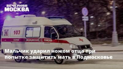 Мальчик ударил ножом отца при попытке защитить мать в Подмосковье - vm.ru - Московская обл.