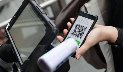 Евгений Куйвашев - В Свердловской области отменили QR-коды в ресторанах до 15 января - newizv.ru - Свердловская обл.