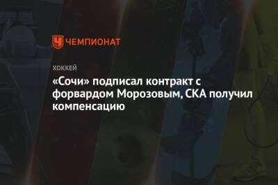 Валерий Брагин - Иван Морозов - «Сочи» подписал контракт с форвардом Морозовым, СКА получил компенсацию - championat.com - Санкт-Петербург - Сочи