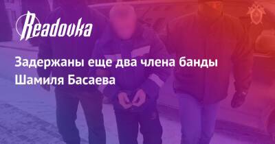 Шамиль Басаев - Задержаны еще два члена банды Шамиля Басаева - readovka.ru - респ. Дагестан - Ставрополье - район Ботлихский