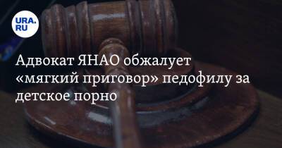 Адвокат ЯНАО обжалует «мягкий приговор» педофилу за детское порно - ura.news - окр. Янао