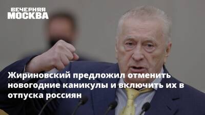 Владимир Жириновский - Жириновский предложил отменить новогодние каникулы и включить их в отпуска россиян - vm.ru - Россия